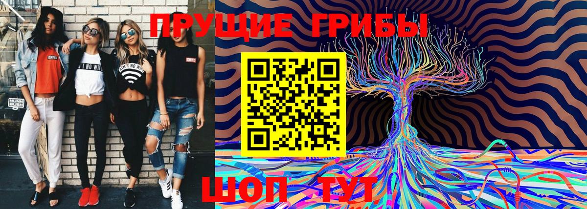 Галлюциногенные грибы Psilocybine cubensis Полевской