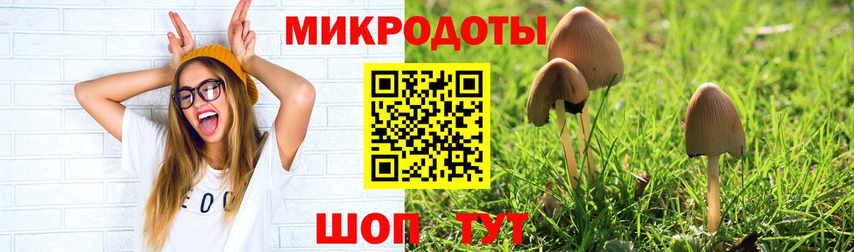 Псилоцибиновые грибы GOLDEN TEACHER  Вход с VPN  Полевской  Галлюциногенные грибы Magic Shrooms 