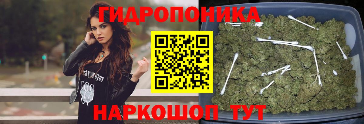 Бошки Шишки план Полевской